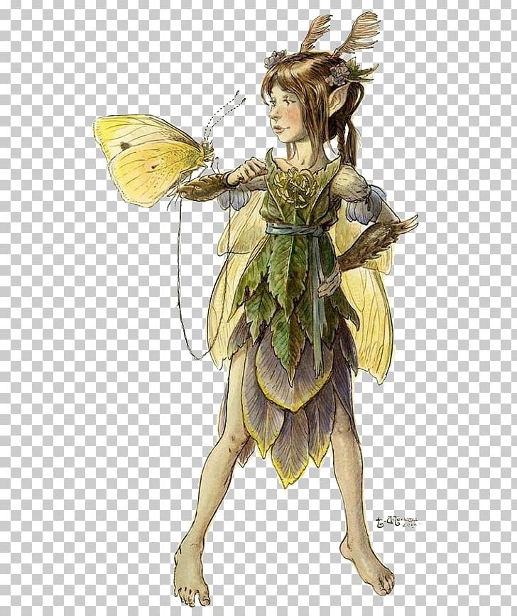 The Field Guide The Spiderwick Chronicles: Lucinda's Secret Fairy Elf PNG, Clipart,  Free PNG Download