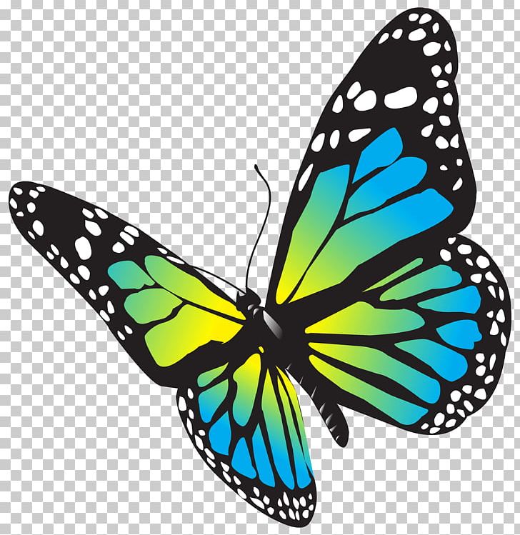 Large Butterfly PNG, Clipart, Arthropod, Blue, Brush Footed Butterfly, Butterflies, Butterfly Free PNG Download