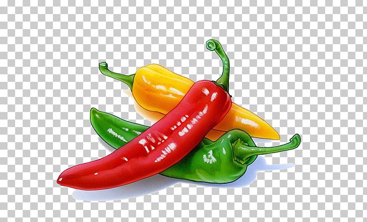 Serrano Pepper Birds Eye Chili Jalapexf1o Bell Pepper Friggitello PNG, Clipart, Bell Peppers And Chili Peppers, Birds Eye Chili, Cartoon Character, Cartoon Cloud, Cartoon Couple Free PNG Download
