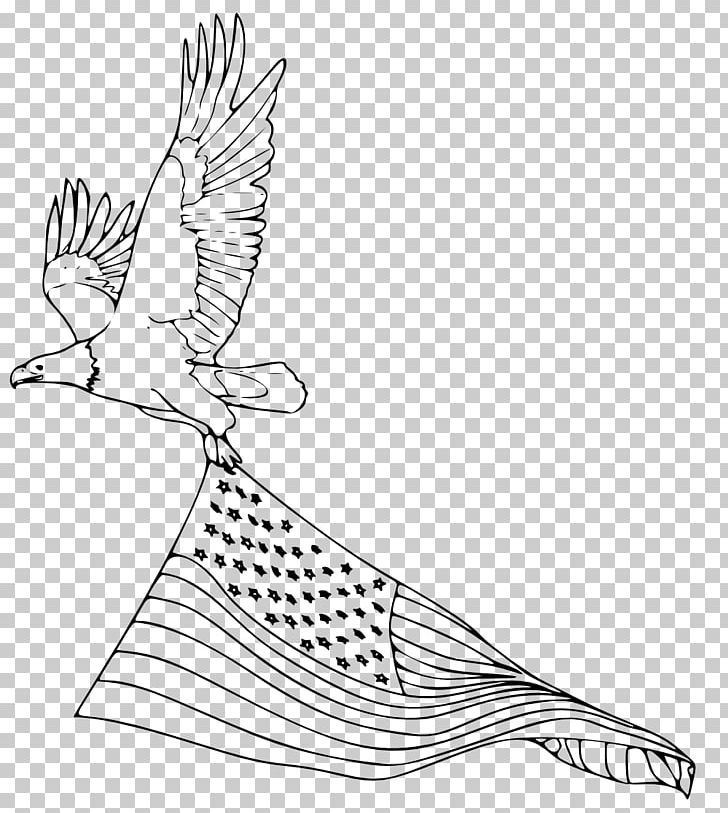Bald Eagle Coloring Book Harpy Eagle Drawing PNG, Clipart, Animals, Art, Artwork, Bald Eagle, Bird Free PNG Download