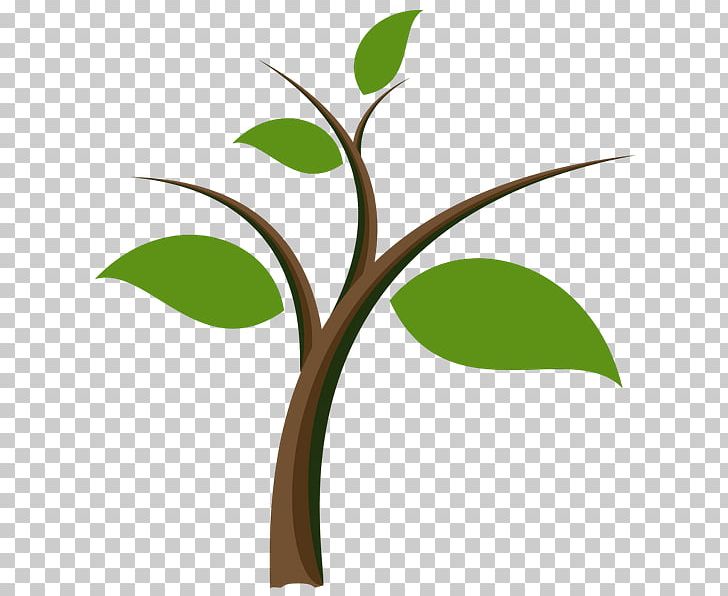 Drawing Cartoon Moccamaster PNG, Clipart, Animation, Branch, Cartoon, Computer Icons, Drawing Free PNG Download