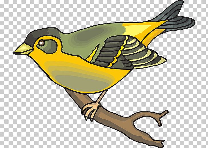 Finches Bird Zebra Finch PNG, Clipart, American Goldfinch, Arrow, Artwork, Beak, Bird Free PNG Download