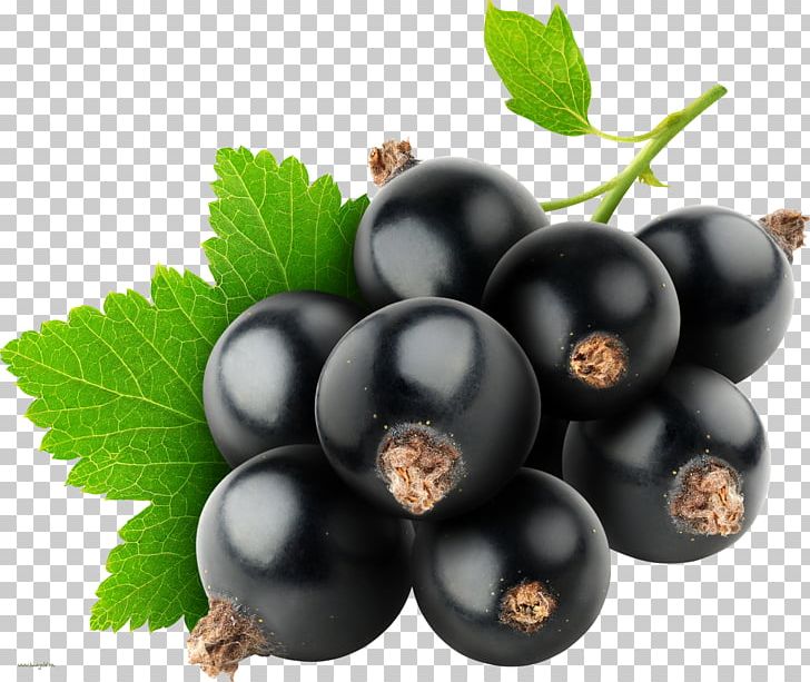Juice Blackcurrant Electronic Cigarette Aerosol And Liquid Flavor Food PNG, Clipart, Bilberry, Blackberry, Blackcurrant Seed Oil, Blueberry, Chokeberry Free PNG Download
