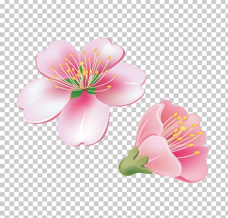 Portable Network Graphics Flower Adobe Photoshop Petal Graphics PNG, Clipart, Alstroemeriaceae, Blossom, Cartoon, Cut Flowers, Desktop Wallpaper Free PNG Download