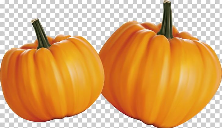 Pumpkin Calabaza Organic Food Vegetable PNG, Clipart, Agriculture, Capsicum Annuum, Chili Pepper, Cucumber Gourd And Melon Family, Food Free PNG Download