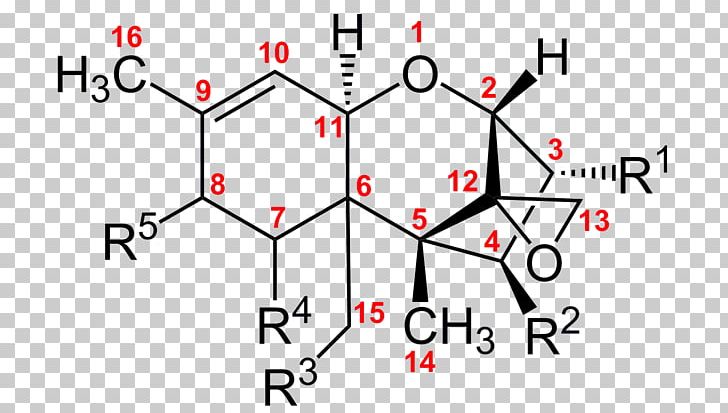 Trichothecene T-2 Mycotoxin Diacetoxyscirpenol Mold PNG, Clipart, Angle, Area, Chemical Substance, Chemistry, Circle Free PNG Download