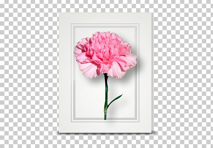 Flowering Plant Cut Flowers Floral Design Floristry PNG, Clipart, Artificial Flower, Carnation, Cut Flowers, Floral Design, Floristry Free PNG Download