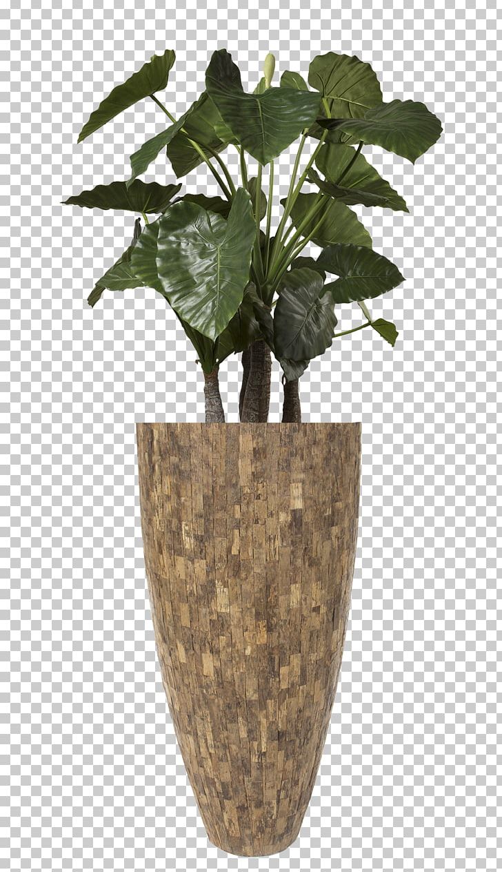 Hydrozorg Interieurbeplanting Flowerpot Vase Teak PNG, Clipart, Alocasia, Column, Computer, Cylinder, Download Free PNG Download