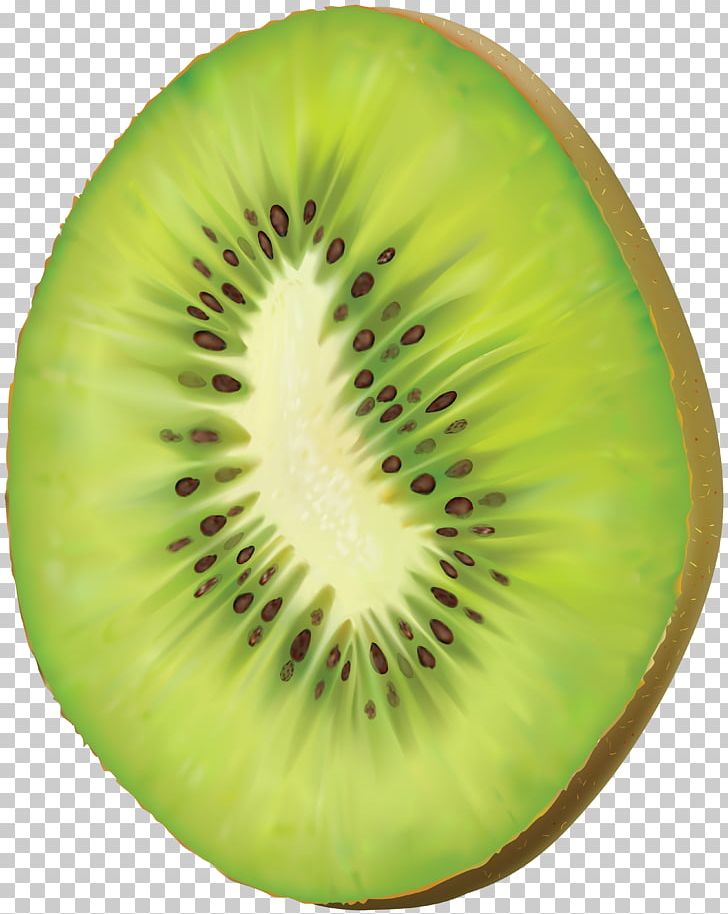 Kiwifruit PNG, Clipart, Bird, Clipart, Clip Art, Computer Icons, Food Free PNG Download