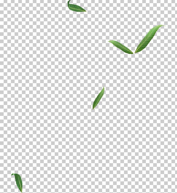 Leaf Logo Plant Stem Line Font PNG, Clipart, Branch, Font, Grass, Green, Leaf Free PNG Download