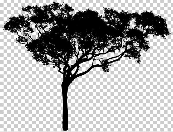 Tree Silhouette PNG, Clipart, Art, Black And White, Branch, Clip Art, Desktop Wallpaper Free PNG Download