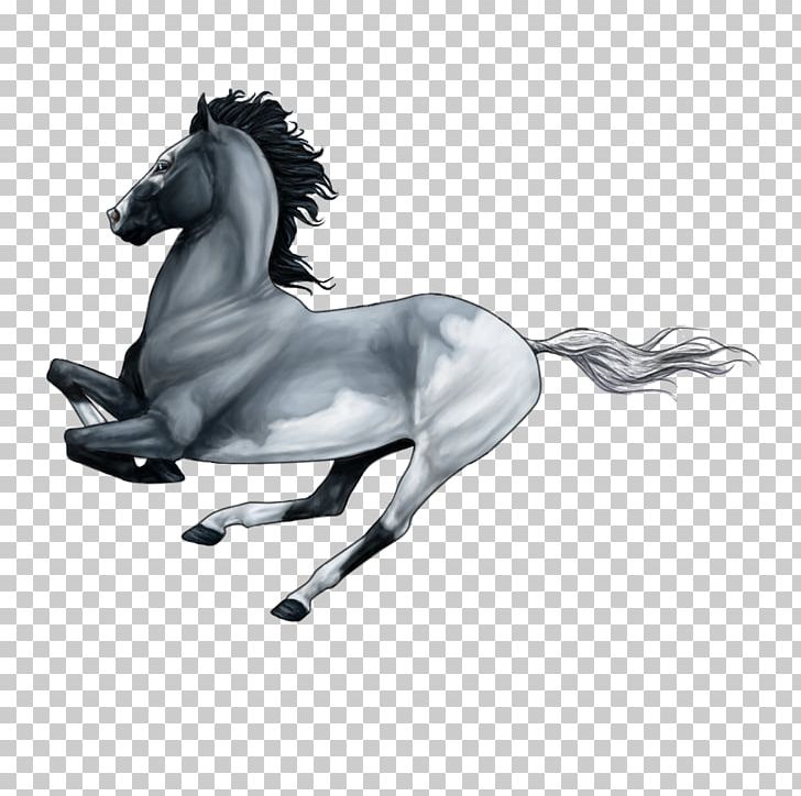 Mane Mustang Stallion Pony Halter PNG, Clipart, Black And White, Bullet Train, Computer, Computer Wallpaper, Desktop Wallpaper Free PNG Download