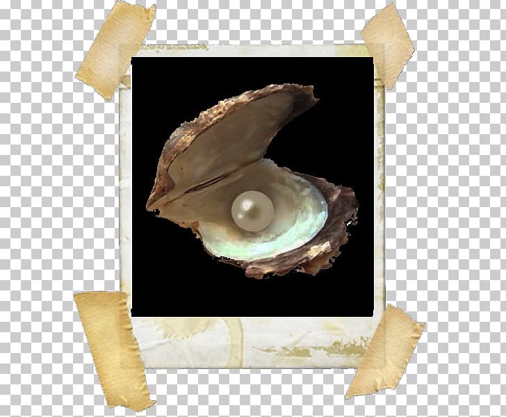 Polaroid Art Instant Camera Chatarrero Photography اليشماغ PNG, Clipart, Chatarrero, Clams Oysters Mussels And Scallops, Film Frame, Instant Camera, Keffiyeh Free PNG Download