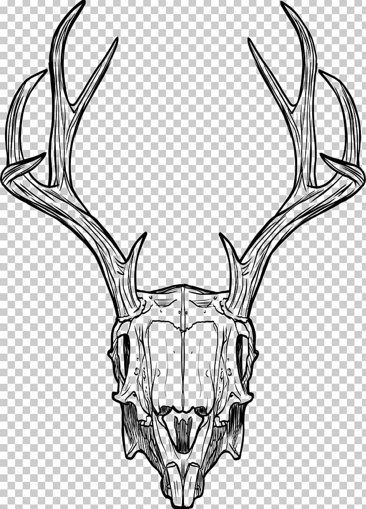 Skull Jackalope Horn Antler Drawing PNG, Clipart, Animal Skull, Antler, Black And White, Body Jewelry, Bone Free PNG Download