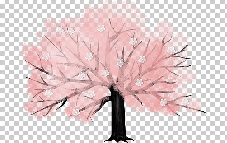 Cherry Blossom Tree Drawing PNG, Clipart, Balloon Cartoon, Blossom, Blossoms, Cartoon Couple, Cartoon Eyes Free PNG Download