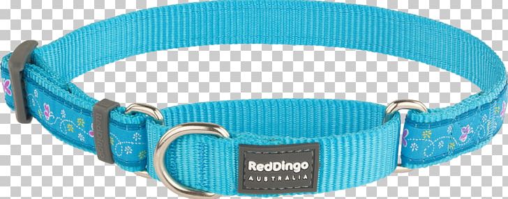 Dingo Dog Collar Martingale PNG, Clipart, Animals, Aqua, Azure, Blue, Cat Free PNG Download
