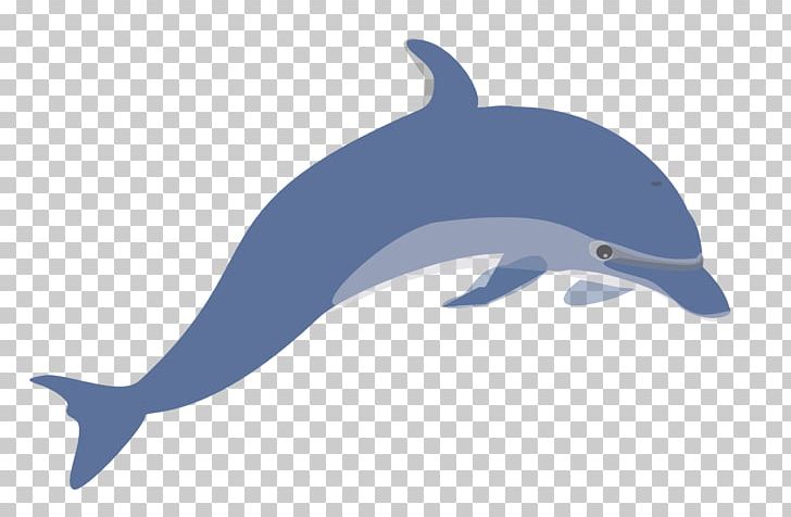 Dolphin PNG, Clipart, Animals, Bottlenose Dolphin, Cetacea, Common Bottlenose Dolphin, Computer Free PNG Download