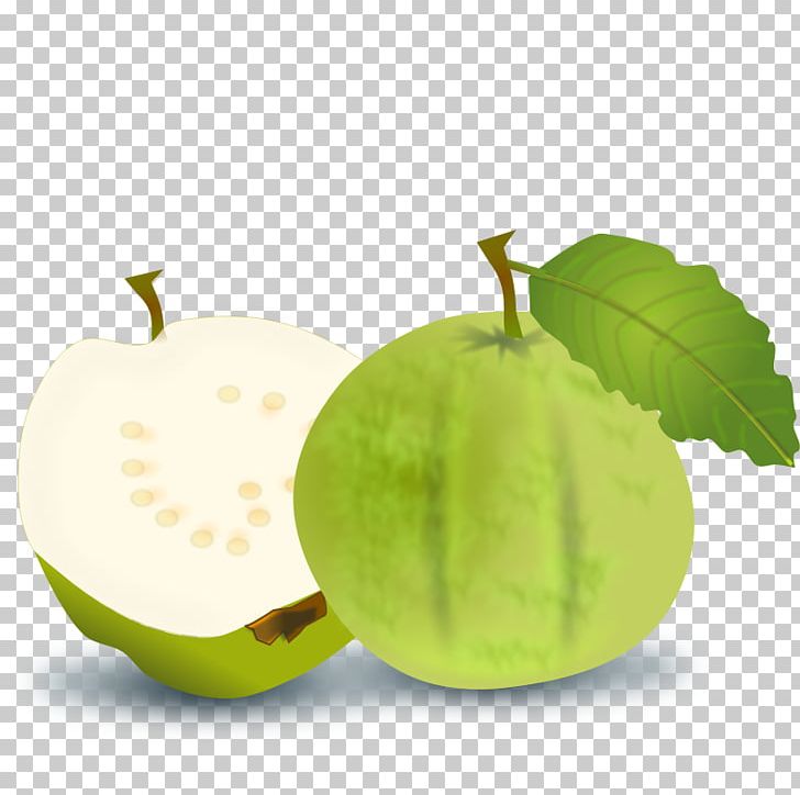 Juice Common Guava Fruit PNG, Clipart, Apple, Common Guava, Drawing, Food, Fruit Free PNG Download