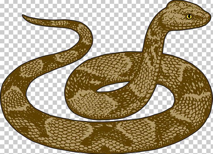 Snake Vipers PNG, Clipart, Animals, Boa Constrictor, Boas, Cartoon, Clip Art Free PNG Download