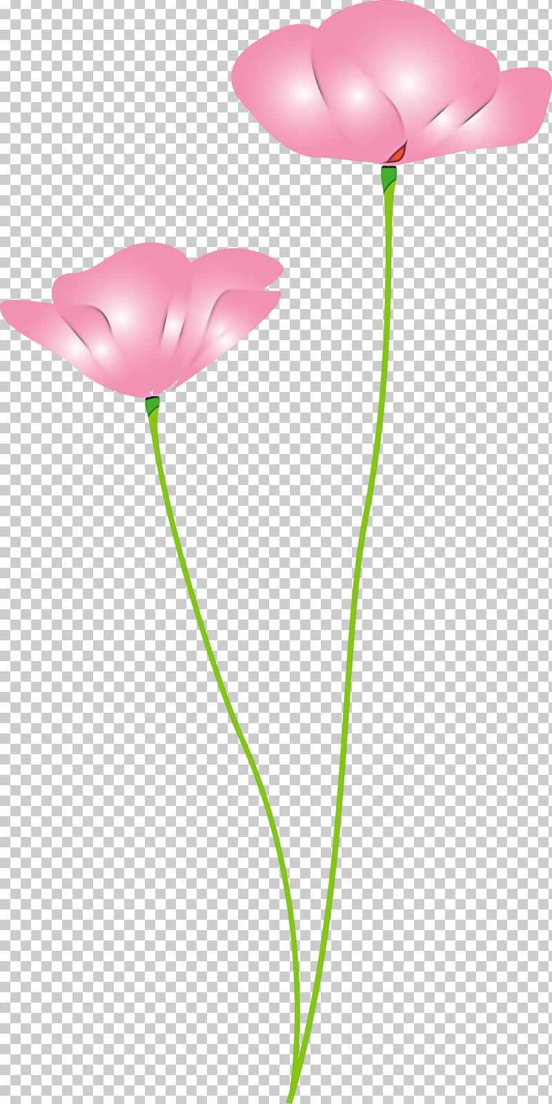 Poppy Flower PNG, Clipart, Anthurium, Artificial Flower, Cut Flowers, Flower, Lily Family Free PNG Download