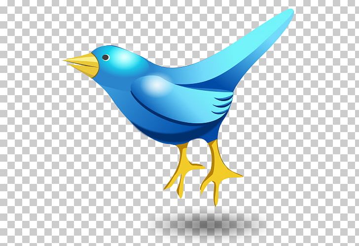 Bird Beak Graphics Portable Network Graphics PNG, Clipart, Animals, Beak, Bird, Bird Vector, Cartoon Bird Free PNG Download