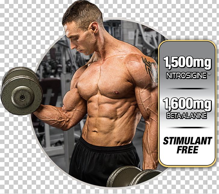 Dietary Supplement MuscleTech Bodybuilding Supplement Nitric Oxide Anabolic Steroid PNG, Clipart, Abdomen, Anabolic Steroid, Arm, Bodybuilder, Bodybuilding Supplement Free PNG Download