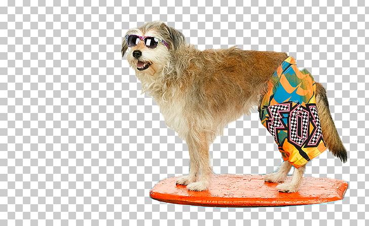 Dog Breed Puppy Slinky Dog Companion Dog PNG, Clipart, Animals, Breed, Carnivoran, Child, Companion Dog Free PNG Download