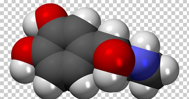 Growth Hormone Adrenaline Gland Catecholamine PNG, Clipart, Adrenal Gland, Adrenalin, Adrenaline, Catecholamine, Chemistry Free PNG Download