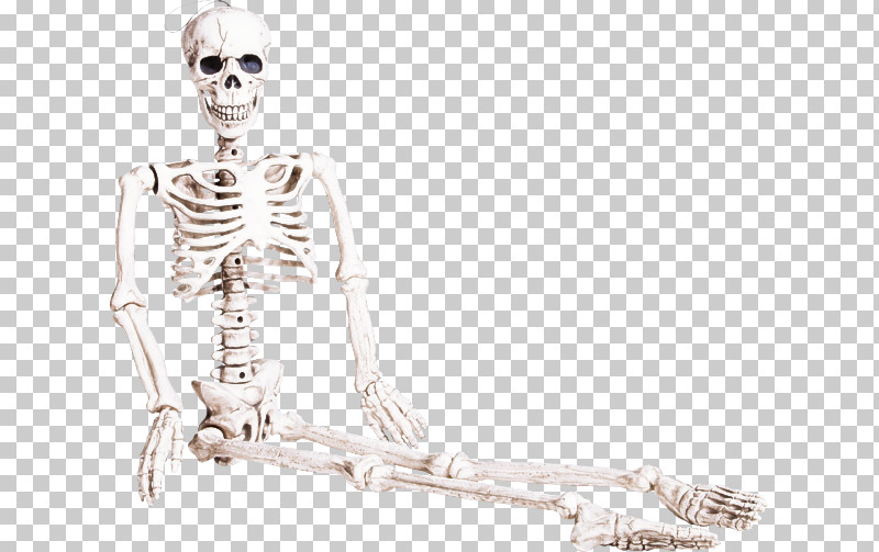 Skeleton Human Sitting Human Body Anatomy PNG, Clipart, Anatomy, Drawing, Human, Human Body, Human Skeleton Free PNG Download