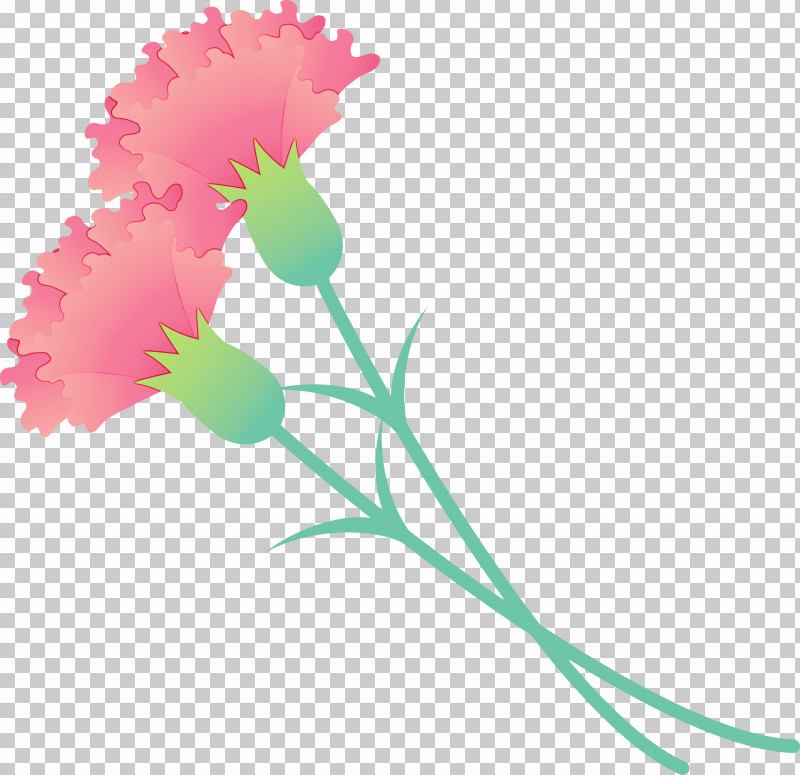 Flower Pink Plant Pedicel Cut Flowers PNG, Clipart, Carnation, Cut Flowers, Dianthus, Flower, Mothers Day Carnation Free PNG Download