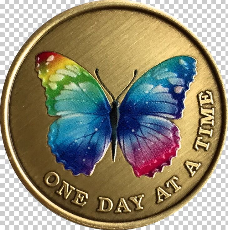 Nymphalidae Butterfly Sobriety Coin Rainbow Serenity Prayer PNG, Clipart, 3 D Text, Alanonalateen, Alcoholics Anonymous, Brush Footed Butterfly, Butterfly Free PNG Download