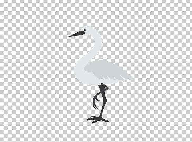 Bird Crane Duck Goose Beak PNG, Clipart, Animal, Animal Day, Beak, Bird, Black Free PNG Download