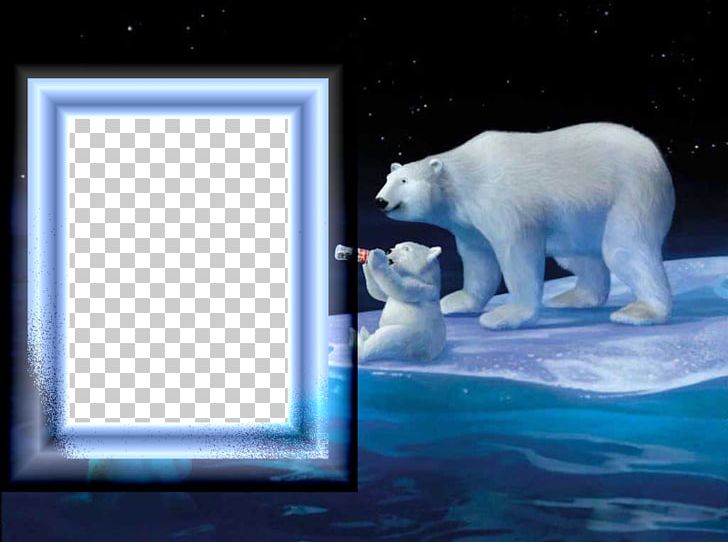 Coca-Cola Baby Polar Bear PNG, Clipart, Animals, Arctic, Baby Polar Bear, Bear, Border Frame Free PNG Download