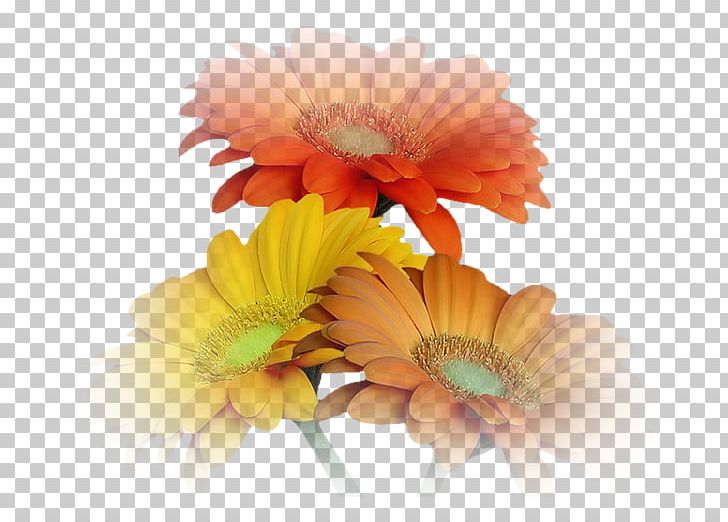 Coffee Higher Institute Of Technological Studies Of Djerba Blog Cappuccino Flower PNG, Clipart, Blog, Cappuccino, Chrysanths, Cicek, Coffee Free PNG Download