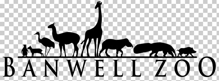 Giraffe Google Logo Zoo Tycoon 2 PNG, Clipart, Animals, Black And White, Brand, Camel Like Mammal, Deviantart Free PNG Download