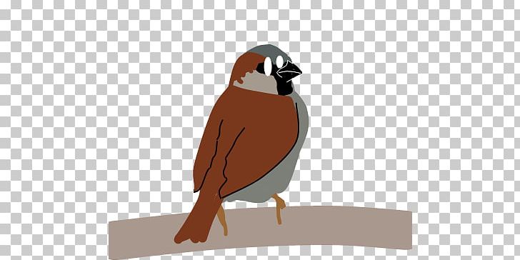 House Sparrow Bird Beak Computer Icons PNG, Clipart, Animals, Autorun, Autoruninf, Beak, Bird Free PNG Download