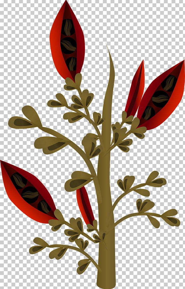 Seed Plant PNG, Clipart, Branch, Clip Art, Euclidean Vector, Floral Design, Floristry Free PNG Download