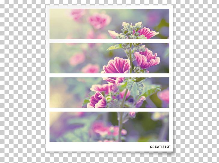 Floral Design Flower Drawer Petal PNG, Clipart, Creatisto, Drawer, Flora, Floral Design, Flower Free PNG Download