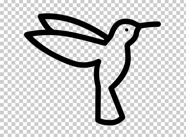 Hummingbird Computer Icons Pelican PNG, Clipart, Animals, Artwork, Beak, Bird, Black And White Free PNG Download