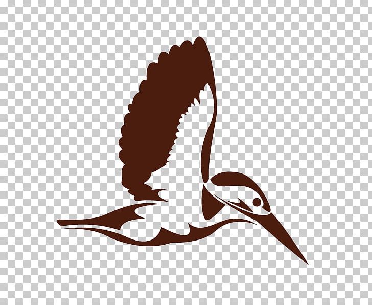 Hummingbird Kingfisher PNG, Clipart, 3d Animation, Animal, Animal Vector, Animation, Anime Character Free PNG Download