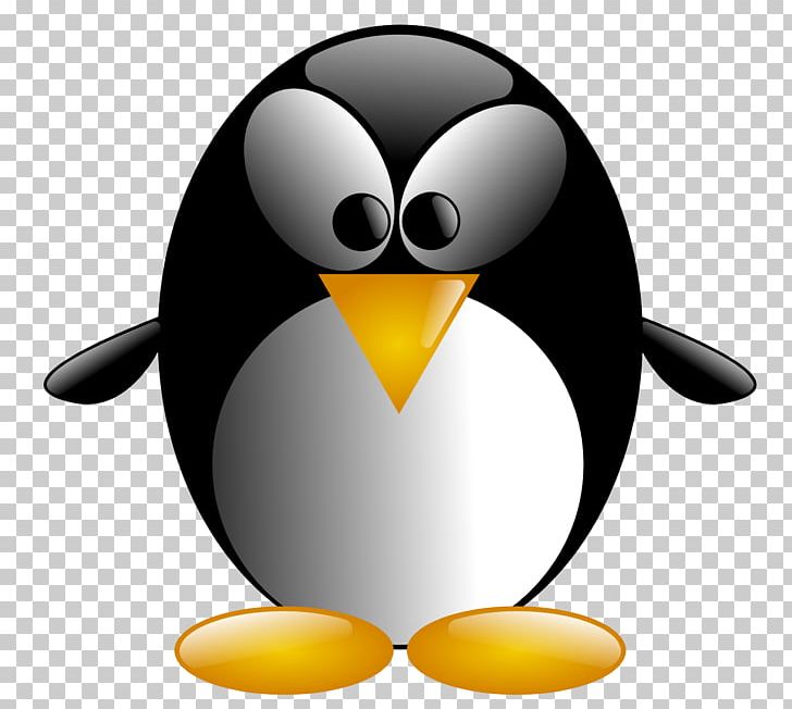Little Penguin Bird PNG, Clipart, Animals, Beak, Bird, Emperor Penguin, Flightless Bird Free PNG Download