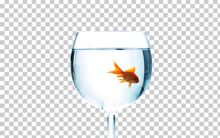 Wine Glass Cup Fish PNG, Clipart, Broken Glass, Chalice, Champagne Glass, Champagne Stemware, Computer Wallpaper Free PNG Download
