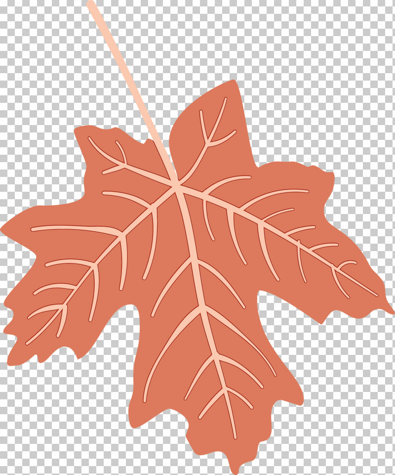 Maple Leaf PNG, Clipart, Autumn Leaf, Biology, Colorful Leaf, Colorful Leaves, Colourful Foliage Free PNG Download