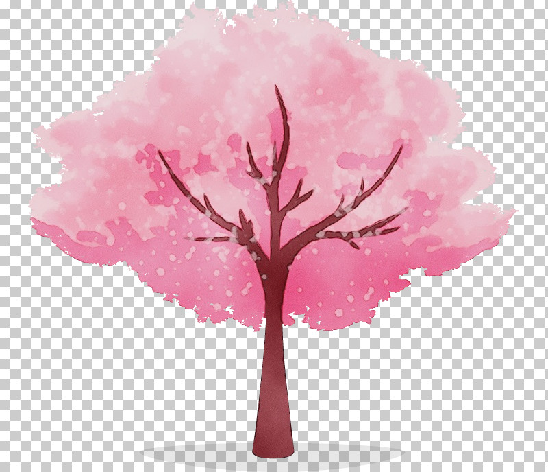 Cherry Blossom PNG, Clipart, Blossom, Branch, Cherry Blossom, Flower, Leaf Free PNG Download