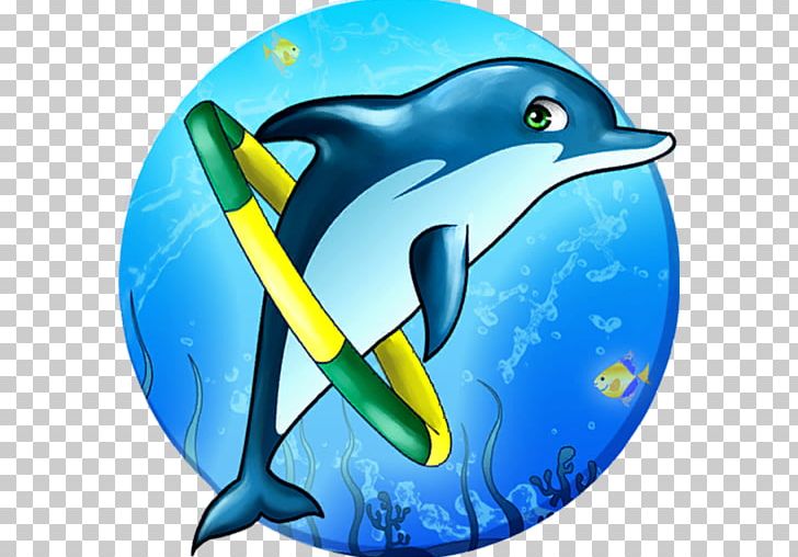 Common Bottlenose Dolphin Short-beaked Common Dolphin Wholphin Marine Mammal PNG, Clipart, Animal, Animals, Aqua, Beak, Bottlenose Dolphin Free PNG Download
