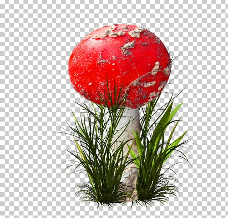 Flower ICO Icon PNG, Clipart, Computer Icons, Creative, Creative Mushrooms, Cut Flowers, Download Free PNG Download