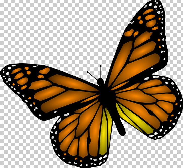Monarch Butterfly PNG, Clipart, Arthropod, Blog, Brush Footed Butterfly, Buterfly, Butterfly Free PNG Download