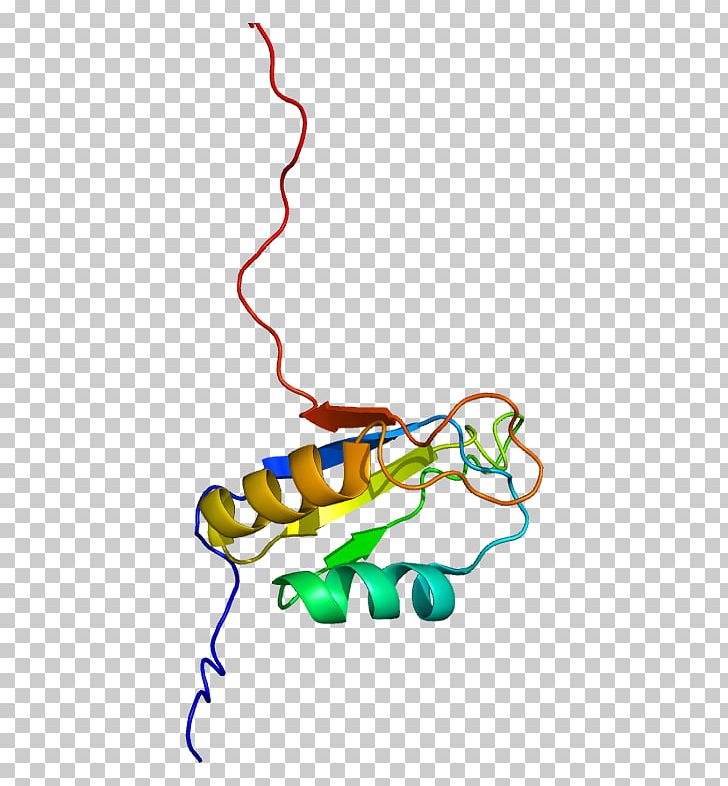 CUGBP1 CUGBP Elav-like Family Member 4 Protein Family Gene PNG, Clipart, Area, Arsenic, Art, Artwork, Bruno Free PNG Download