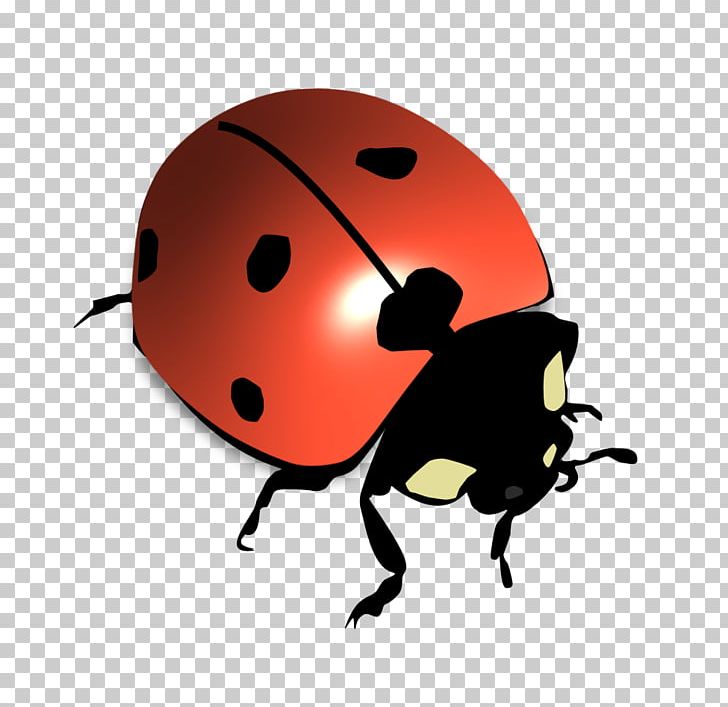 Ladybird Beetle Seven-spot Ladybird Psyllobora Vigintiduopunctata PNG, Clipart, Animals, Arthropod, Beetle, Insect, Invertebrate Free PNG Download