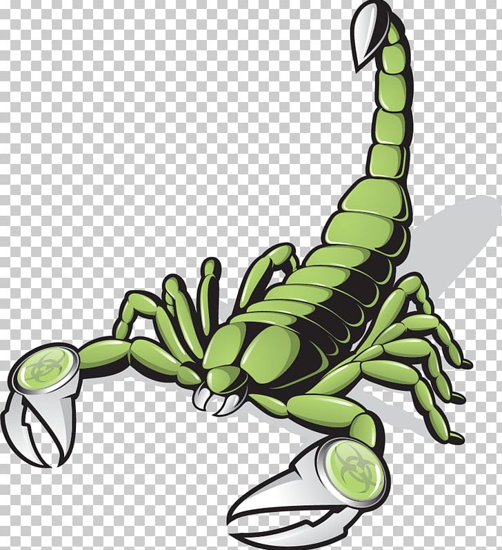 Scorpion Green PNG, Clipart, Claw, Encapsulated Postscript, Fictional Character, Green Tea, Green Vector Free PNG Download